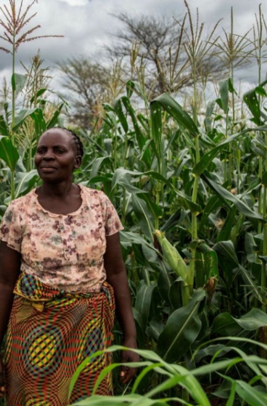 Sécurisation Foncière des Projets Agricoles :