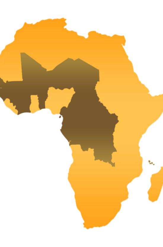 Expertise et Adaptation :